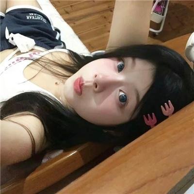 同居人是猫